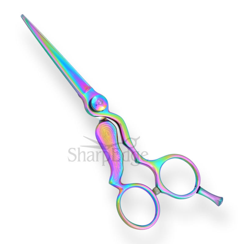 Professional Hair Dressing Scissors 